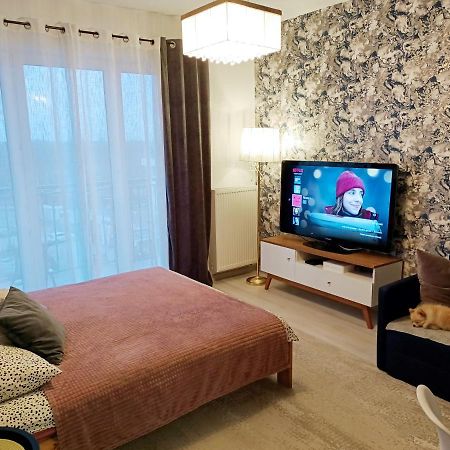 2-Room Apartment Nowy Dwór Mazowiecki 外观 照片